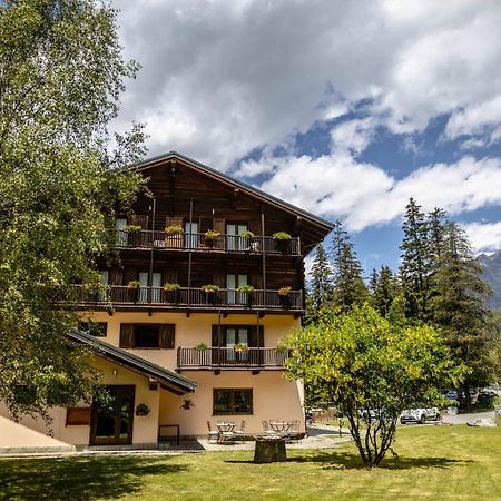 Alpine Forest Hotel تشامبولوك المظهر الخارجي الصورة